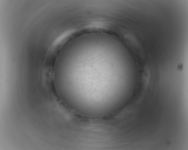 X0000113960870200910162001