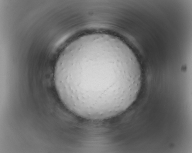 X0000113960871200910162001