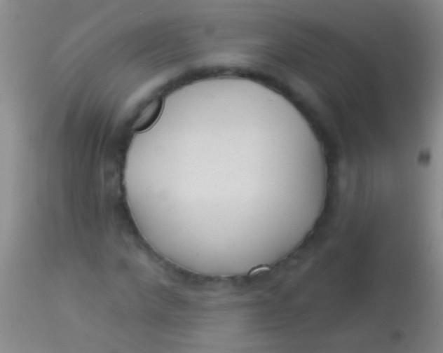 X0000113960872200910162001