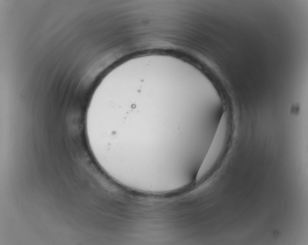 X0000113960873200910162001