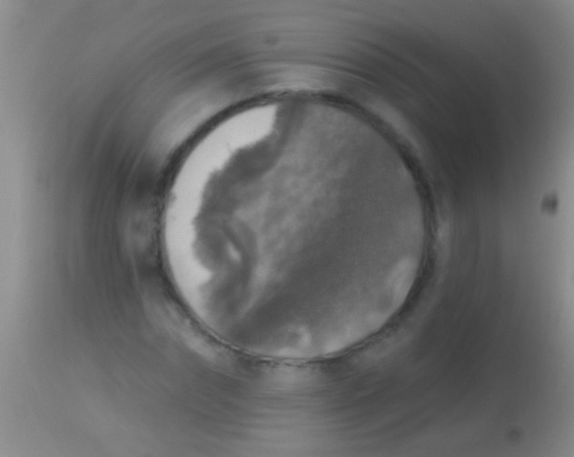 X0000113960874200910162001