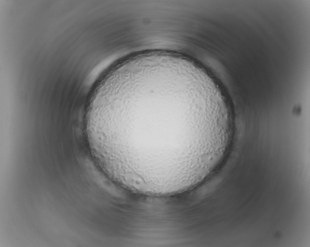 X0000113960875200910162001