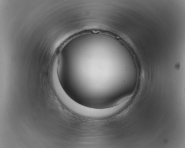 X0000113960877200910162001