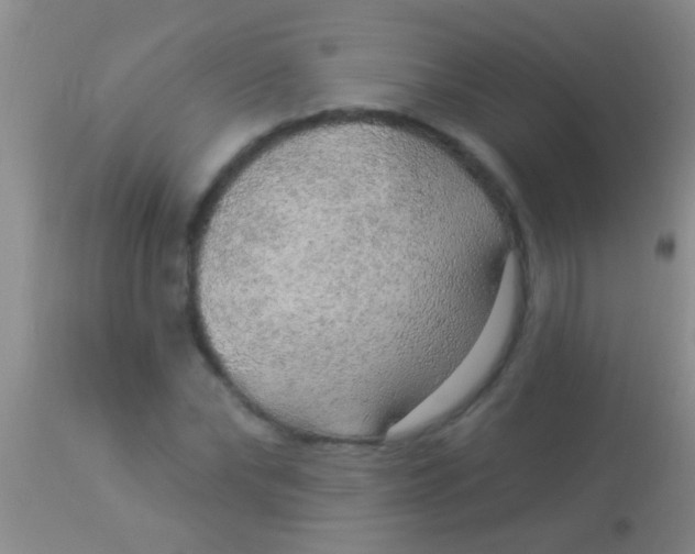 X0000113960878200910162001