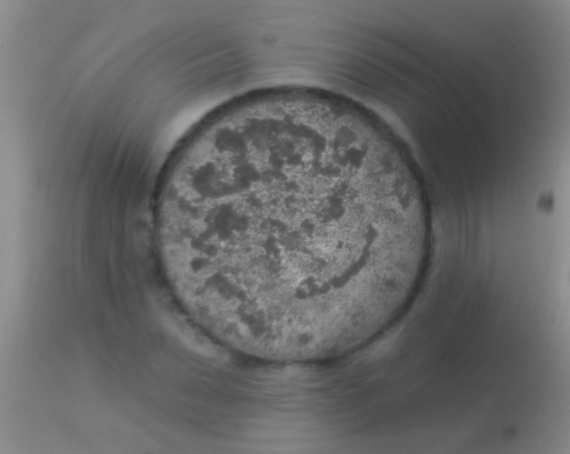 X0000113960879200910162001