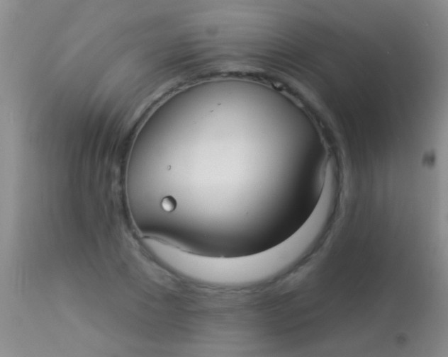 X0000113960881200910162001