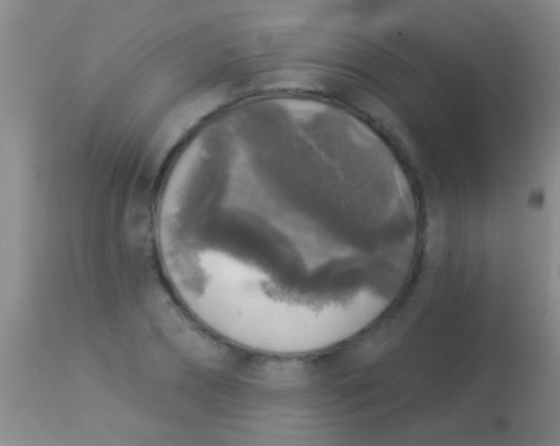 X0000113960882200910162001