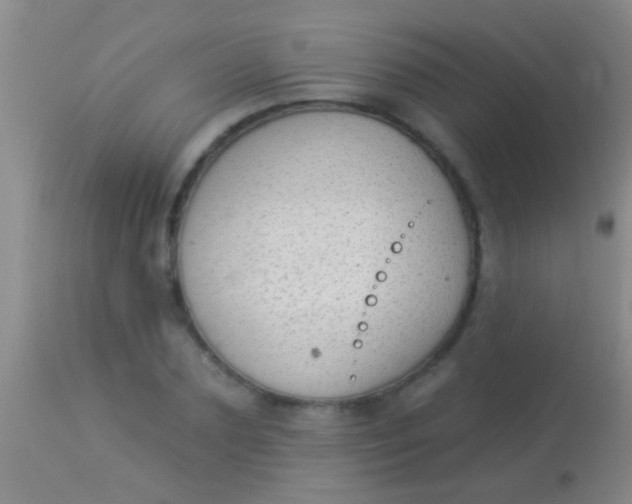 X0000113960883200910162001