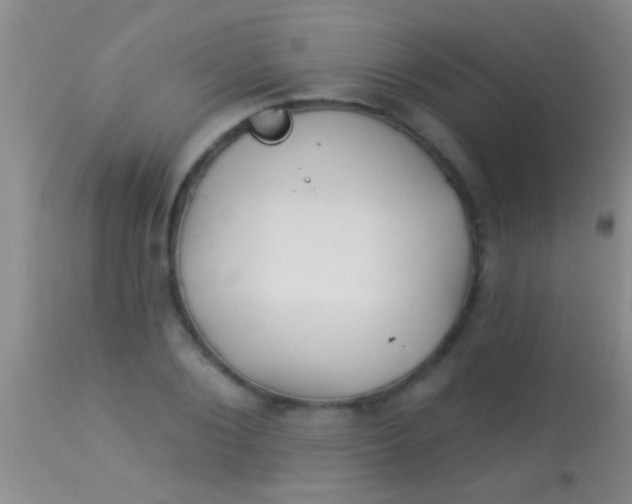 X0000113960884200910162001