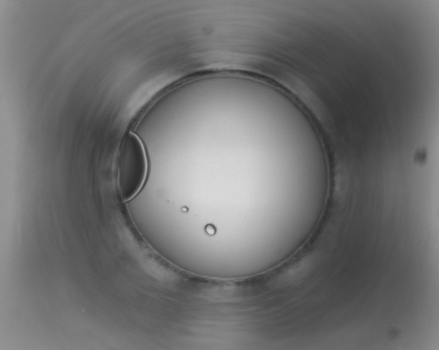 X0000113960885200910162001