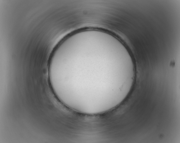 X0000113960887200910162001