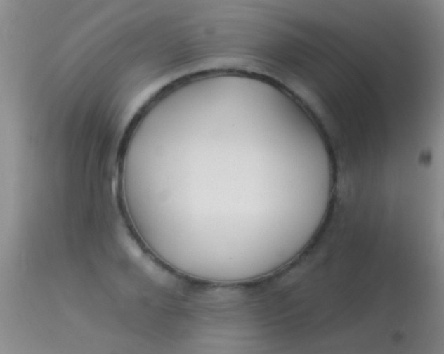 X0000113960888200910162001