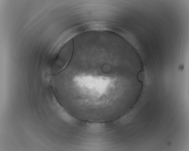 X0000113960889200910162001