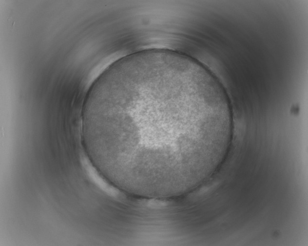 X0000113960890200910162001