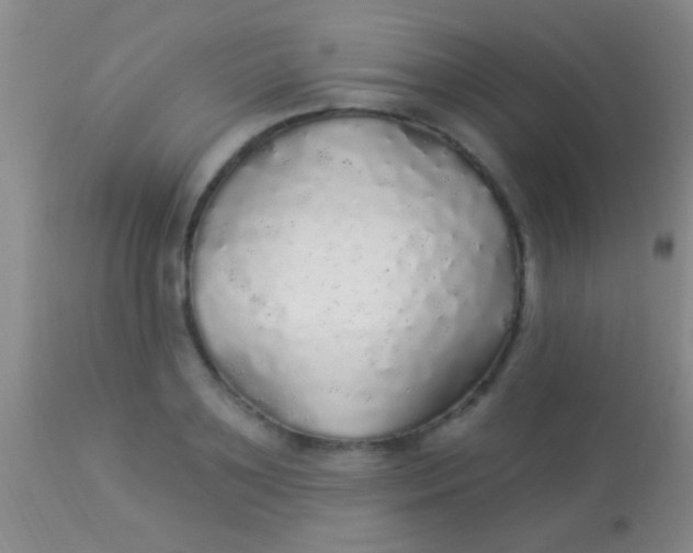 X0000113960891200910162001