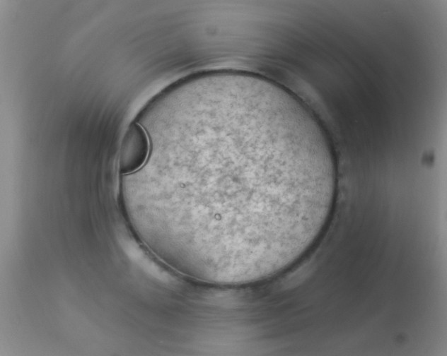 X0000113960892200910162000