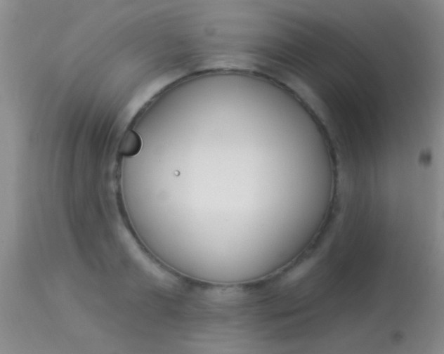 X0000113960893200910162000