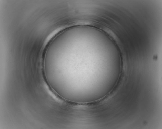 X0000113960894200910162000