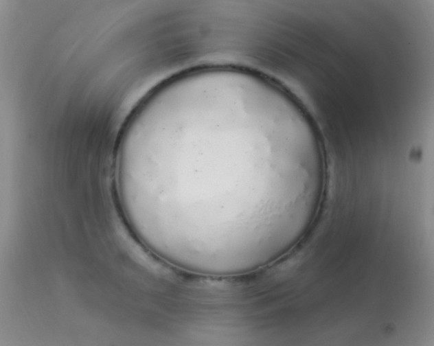 X0000113960895200910162000