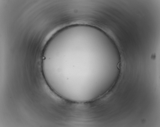 X0000113960896200910162000