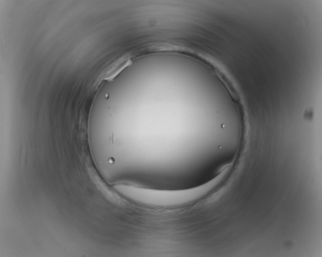 X0000113960897200910162000