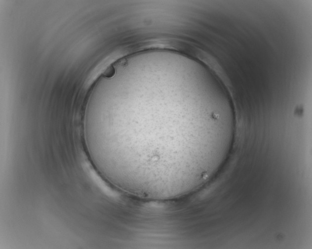 X0000113960898200910162000