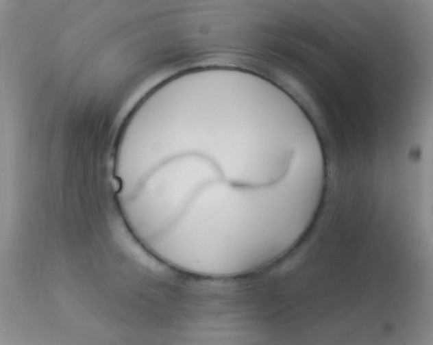 X0000113960900200910162000