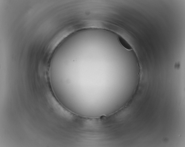 X0000113960901200910162000