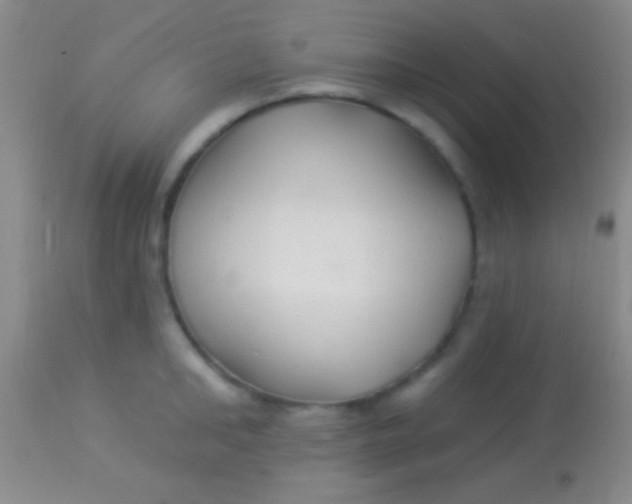 X0000113960902200910162000