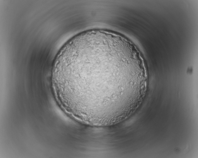 X0000113960903200910162000