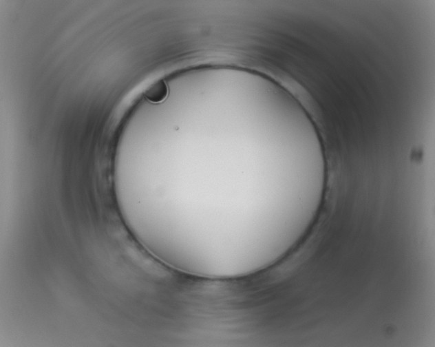 X0000113960904200910162000