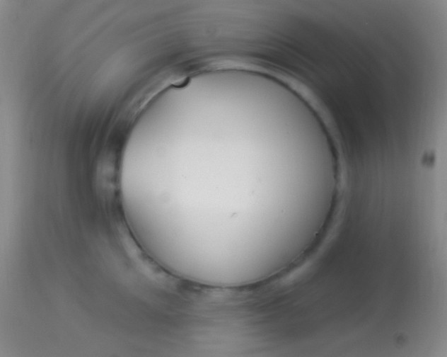 X0000113960905200910162000