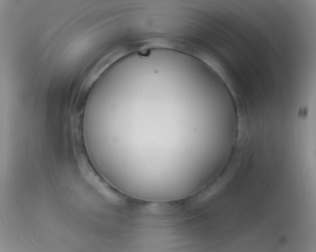 X0000113960906200910162000