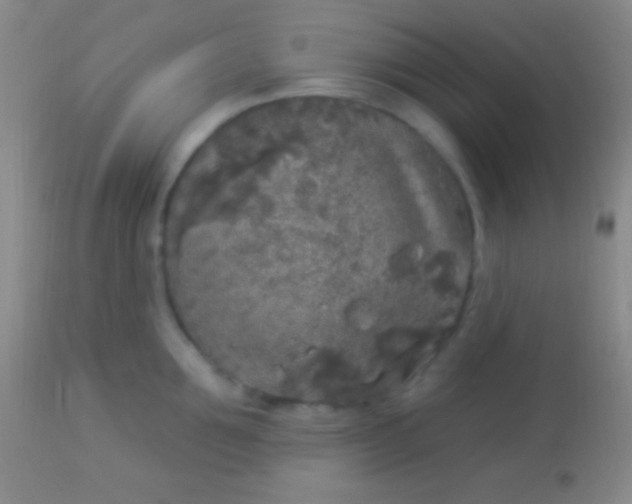 X0000113960907200910162000