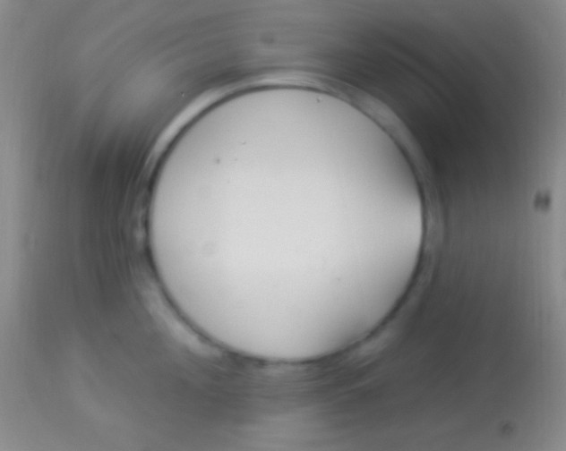 X0000113960908200910162000