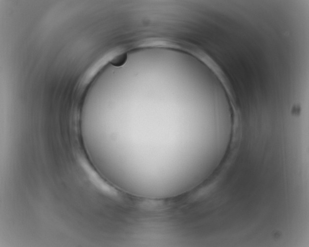 X0000113960909200910162000