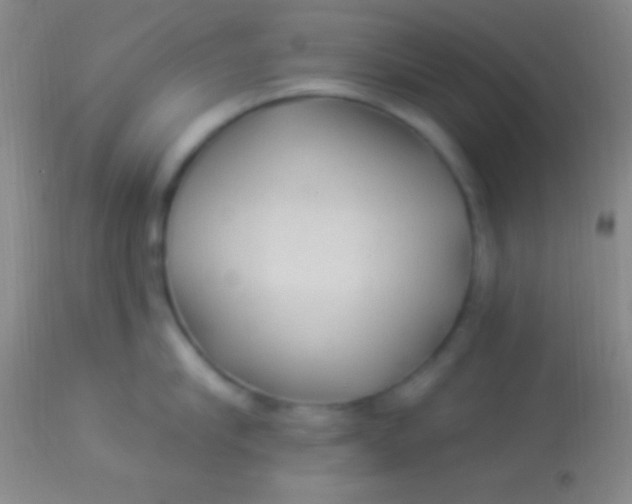 X0000113960910200910162000