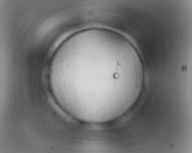 X0000113960911200910162000