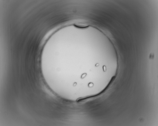 X0000113960912200910162000