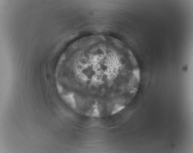 X0000113960913200910161959