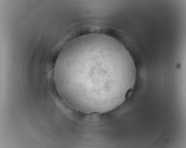 X0000113960914200910161959