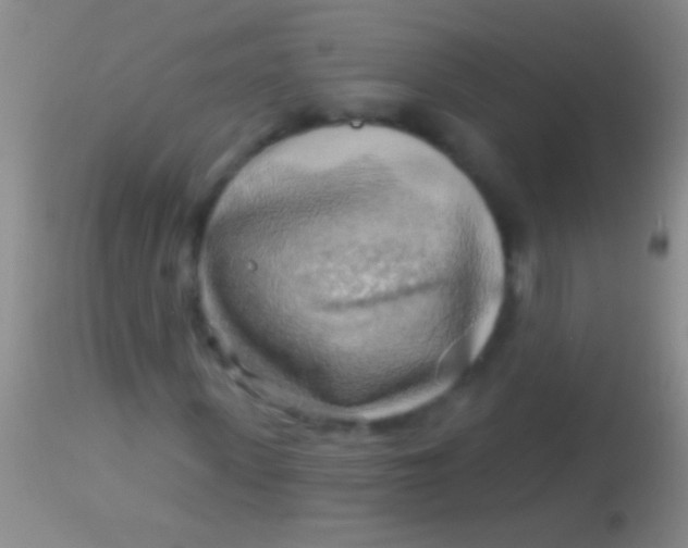 X0000113960915200910161959