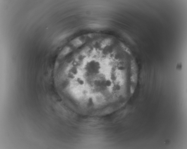 X0000113960917200910161959