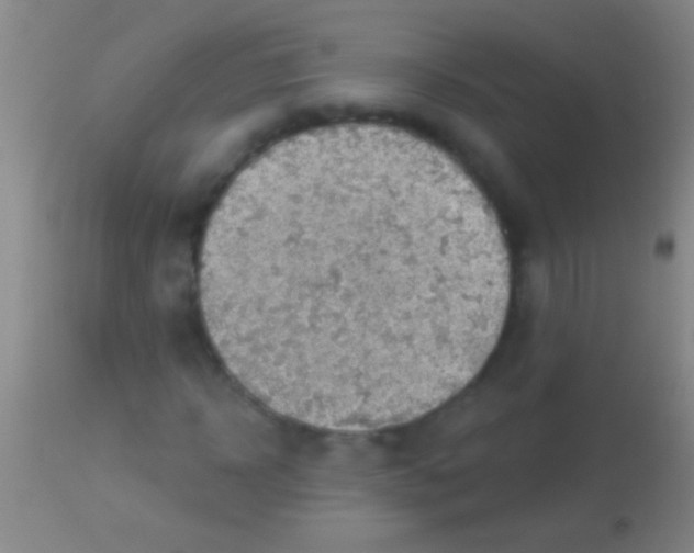 X0000113960918200910161959