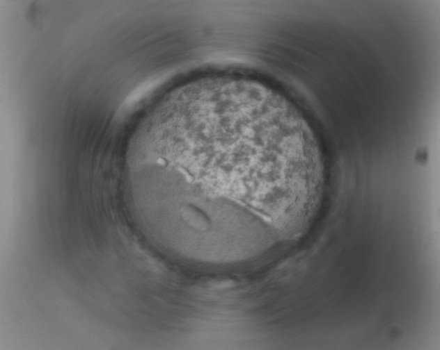 X0000113960919200910161959