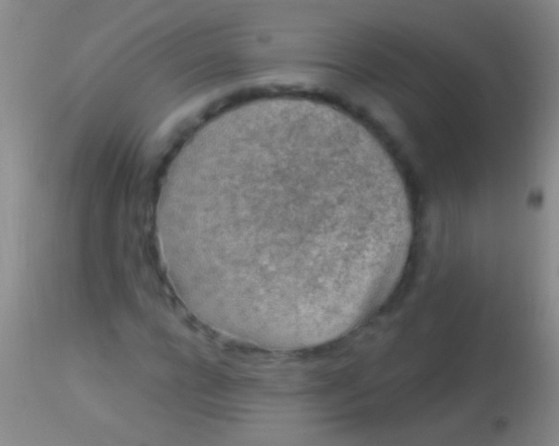 X0000113960920200910162000