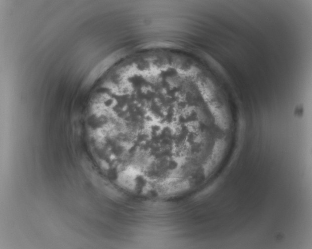 X0000113960921200910162000