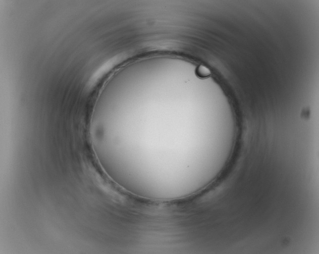 X0000113960922200910162000