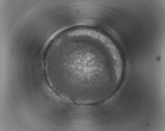 X0000113960923200910162000