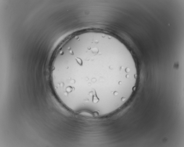 X0000113960924200910162000